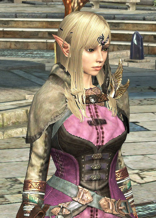 Ddon メインクエ終了 そして Tさんのネトゲ日記 Ddon メインクエ終了 そして Tさんのネトゲ日記